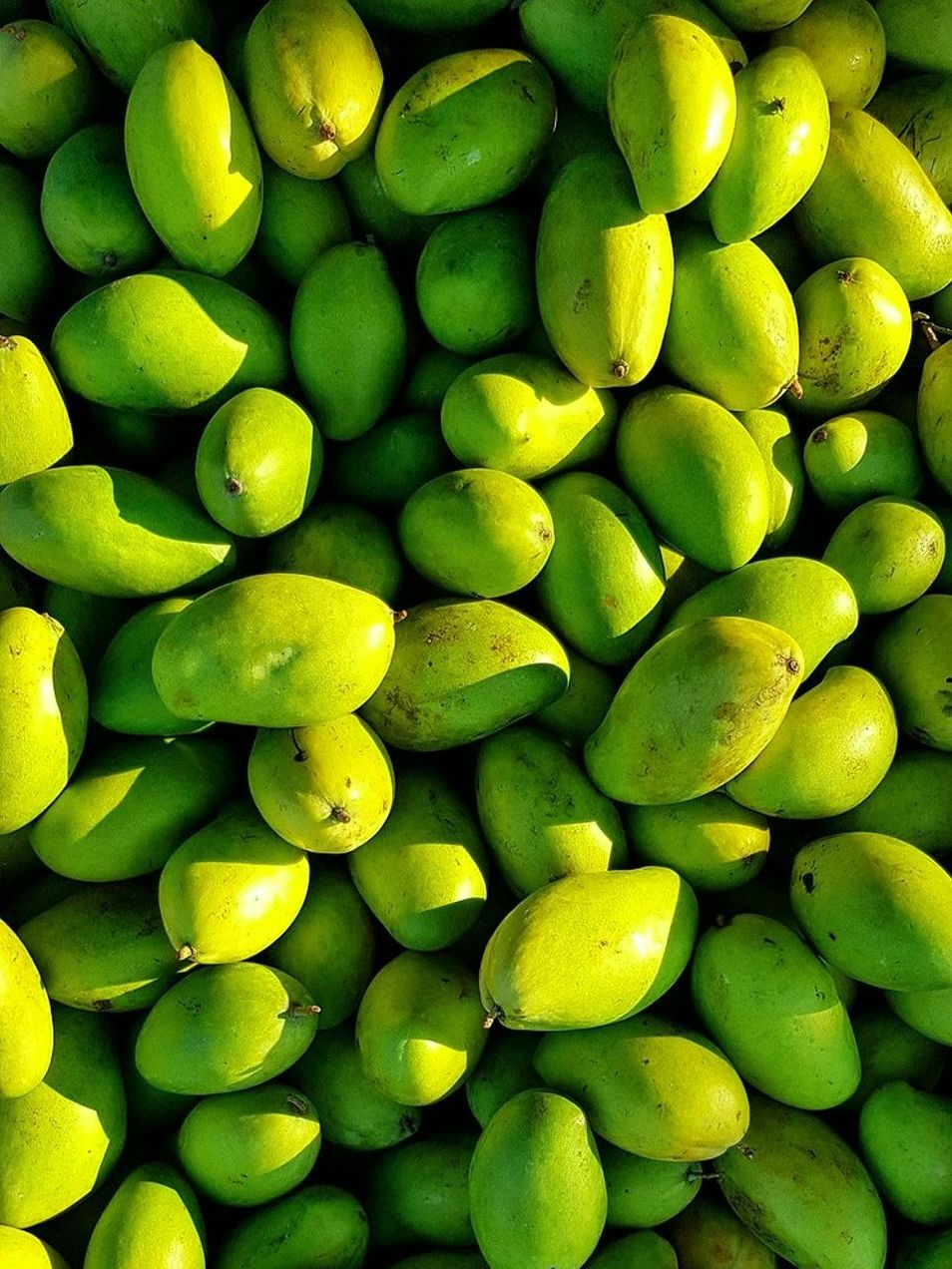 La Canasta