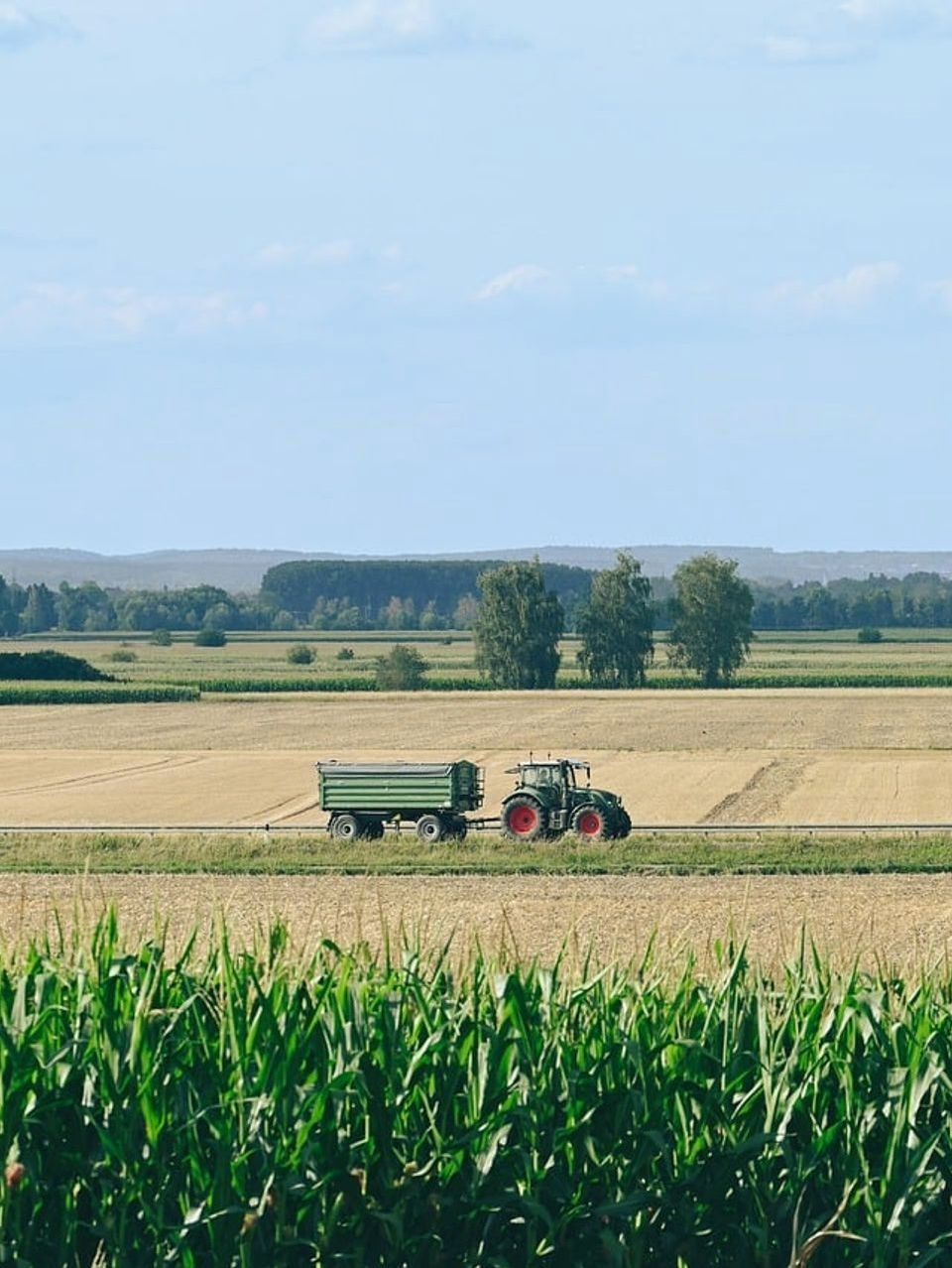 Puesto de campo